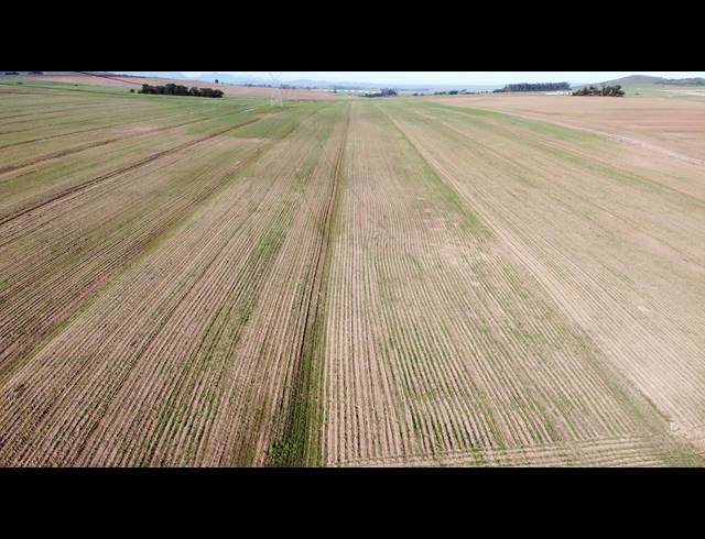 110HA FARM FOR SALE IN MALMESBURY RURAL